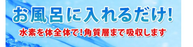 ���f�����ܐ��f�o�X���T�C�g